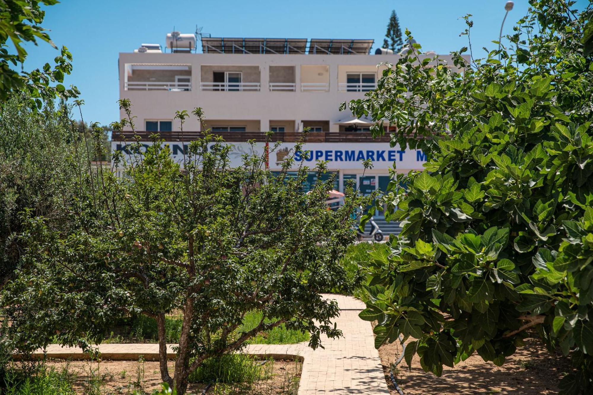 Konnos Villa Ekaterina بروتاراس المظهر الخارجي الصورة